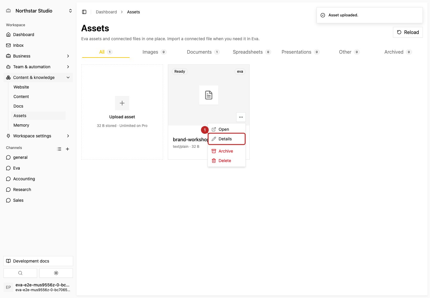 Action: Inspect or open the asset