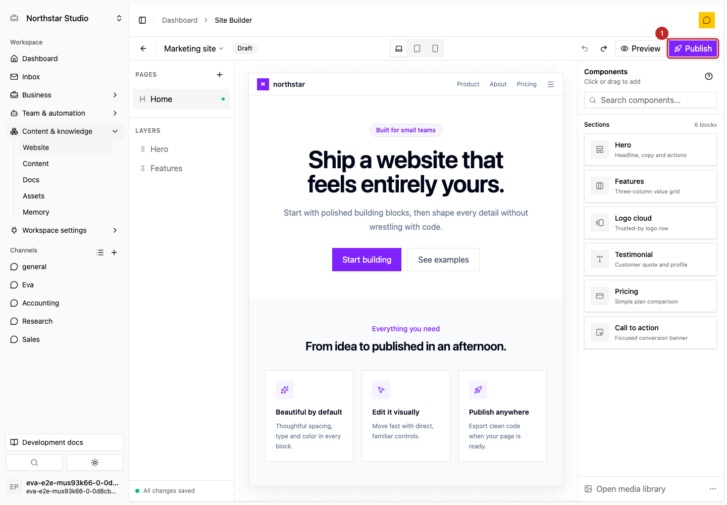Action: Understand Publish